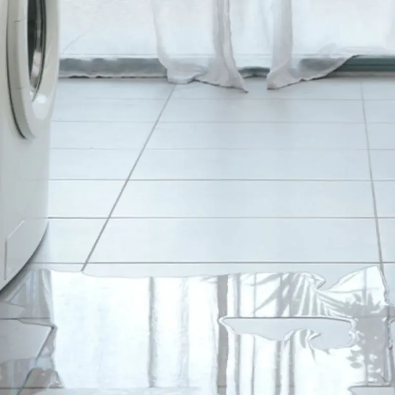 Appliance Leak Cleanup in Wayne County, KY
